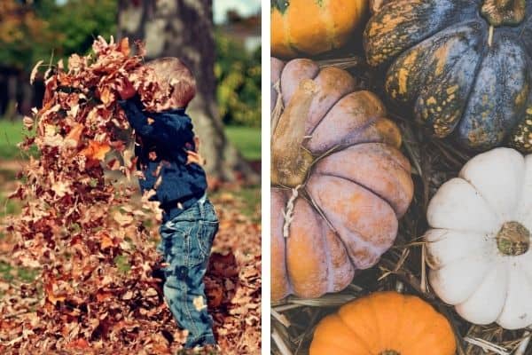 Fall Bucket list for families